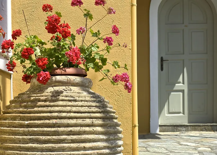 Molfetta Γουβιά